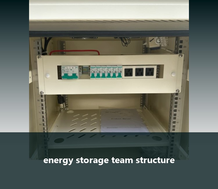 energy storage team structure