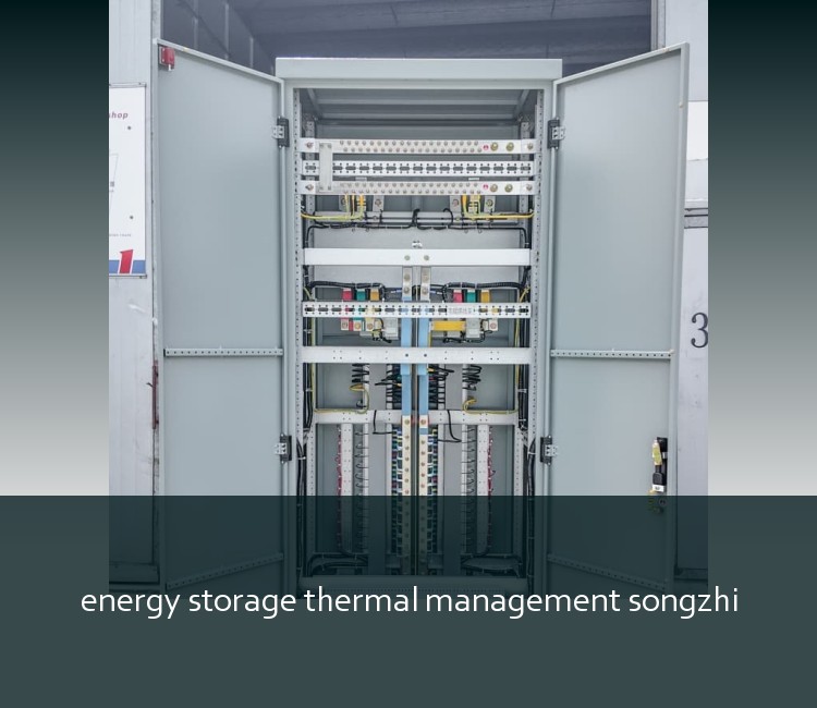 energy storage thermal management songzhi