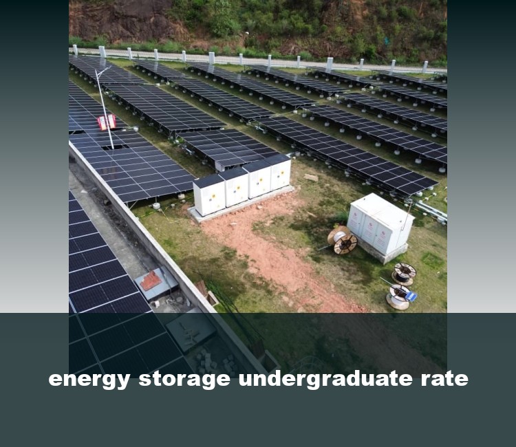 energy storage undergraduate rate