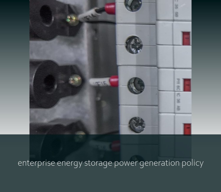 enterprise energy storage power generation policy