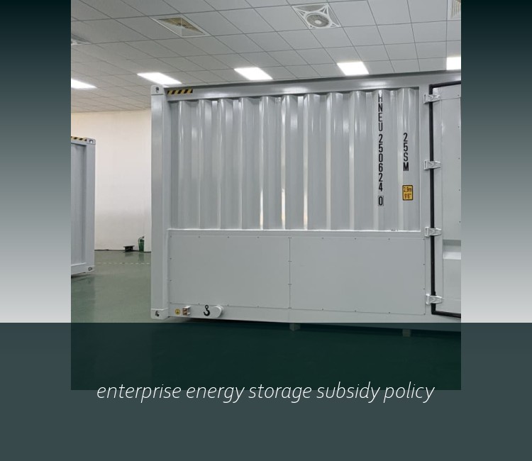 enterprise energy storage subsidy policy