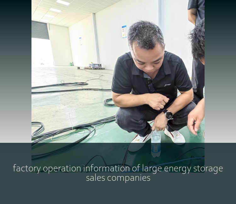 factory operation information of large energy storage sales companies