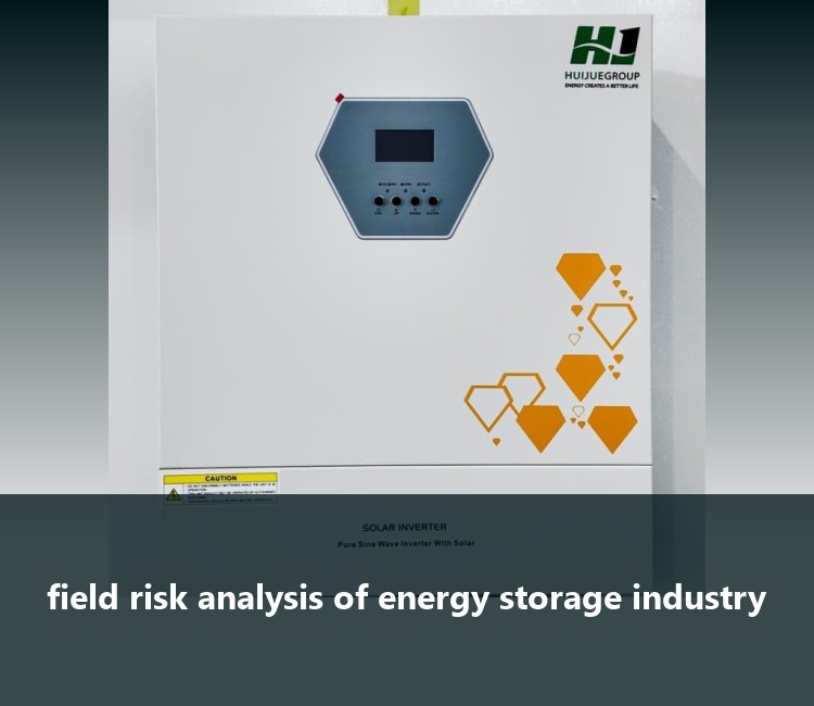 field risk analysis of energy storage industry