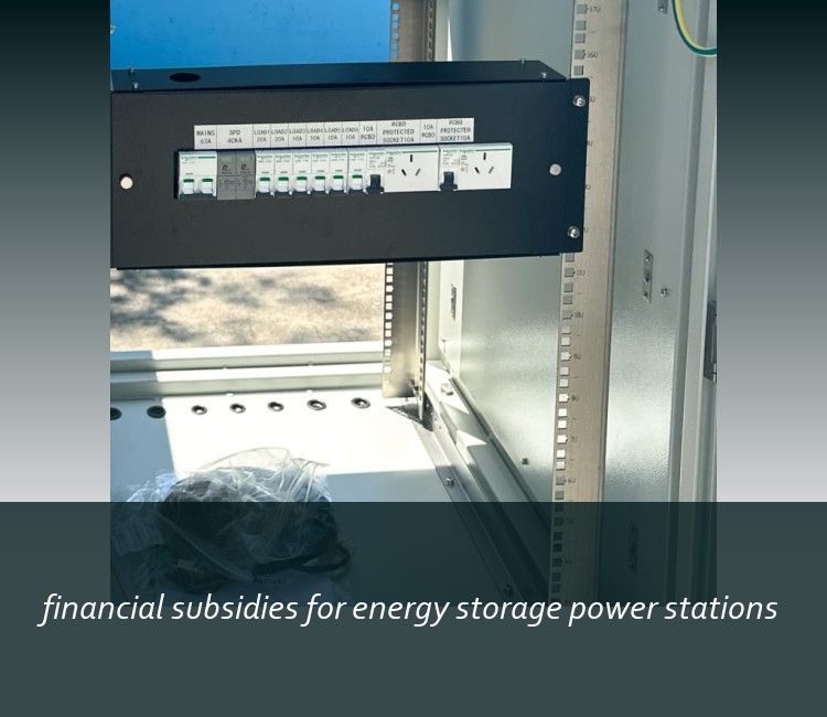 financial subsidies for energy storage power stations