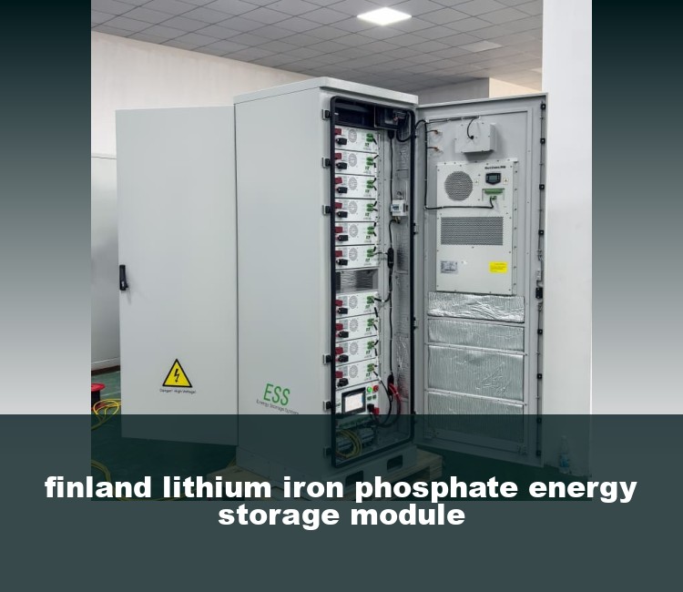 finland lithium iron phosphate energy storage module