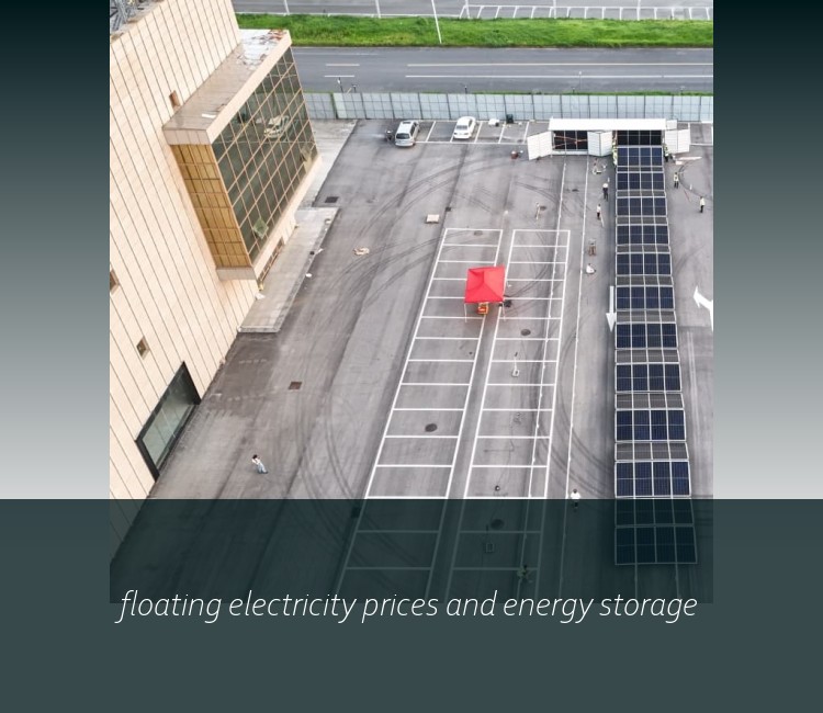 floating electricity prices and energy storage