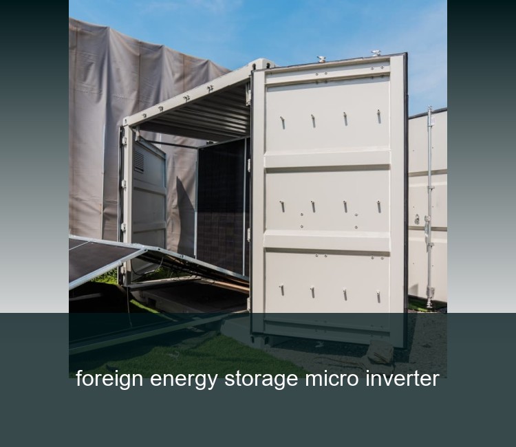 foreign energy storage micro inverter
