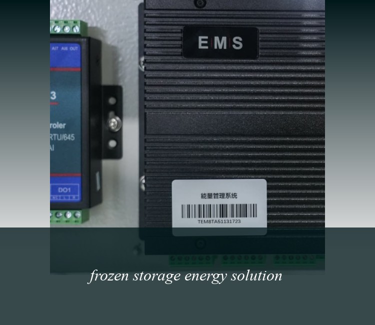 frozen storage energy solution