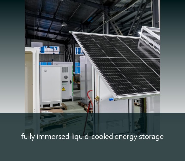 fully immersed liquid-cooled energy storage