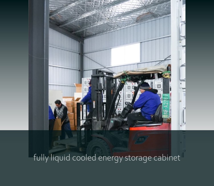 fully liquid cooled energy storage cabinet