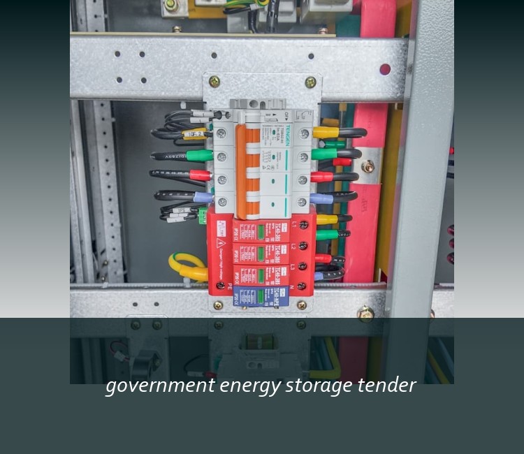 government energy storage tender
