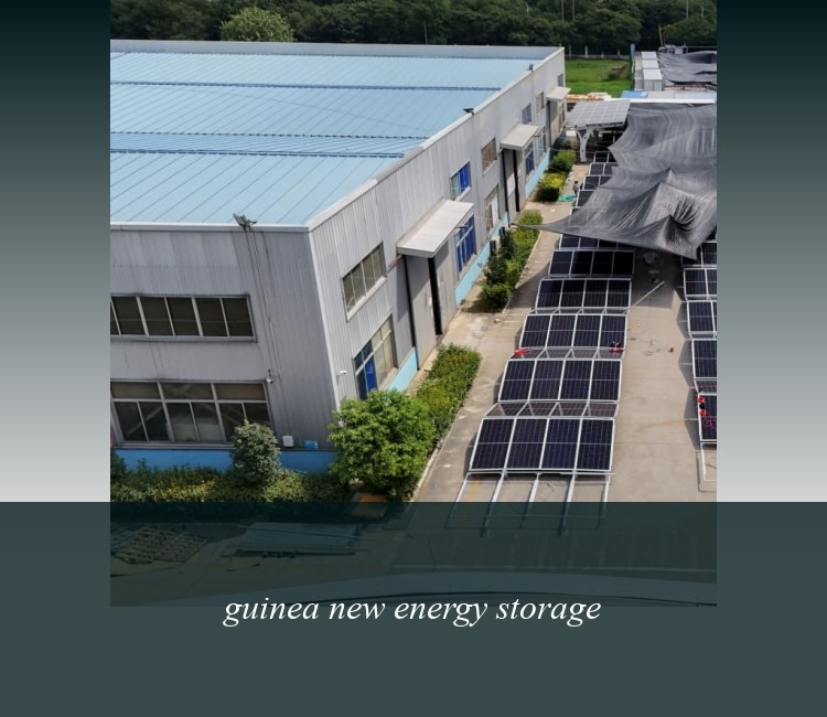 guinea new energy storage