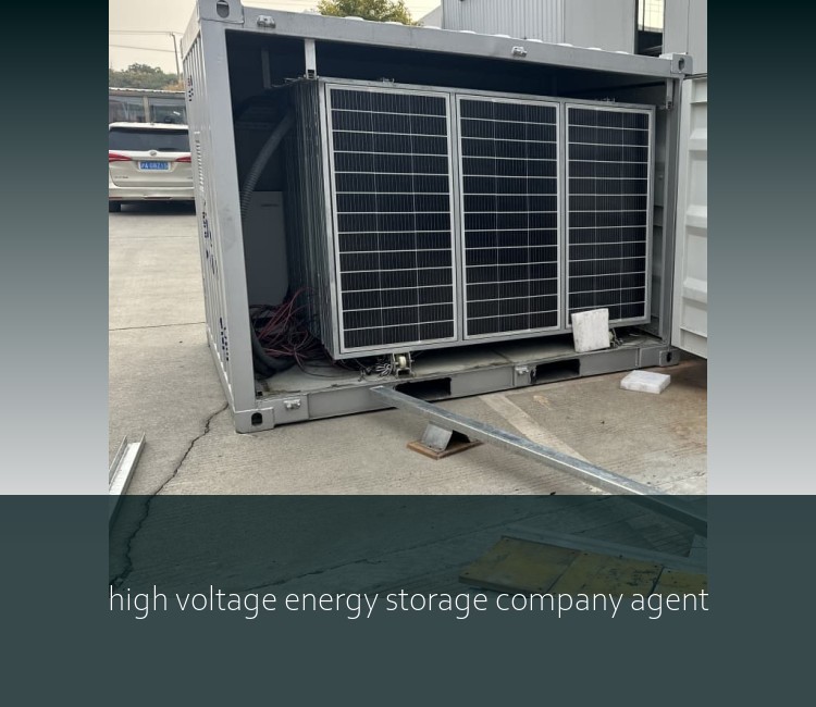 high voltage energy storage company agent