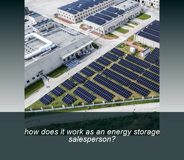 how does it work as an energy storage salesperson?