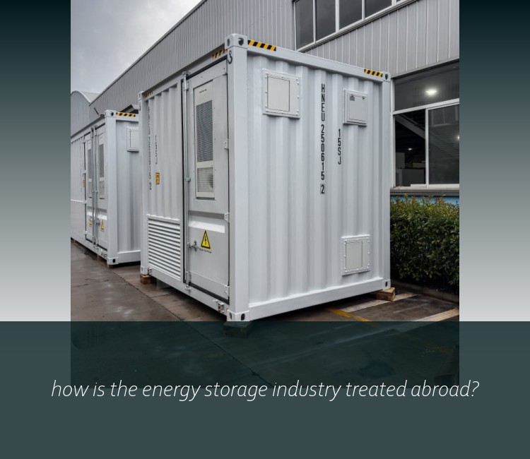 how is the energy storage industry treated abroad?