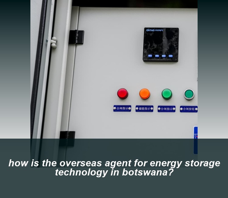 how is the overseas agent for energy storage technology in botswana?