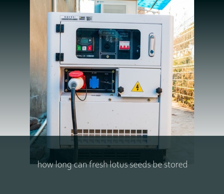 how long can fresh lotus seeds be stored