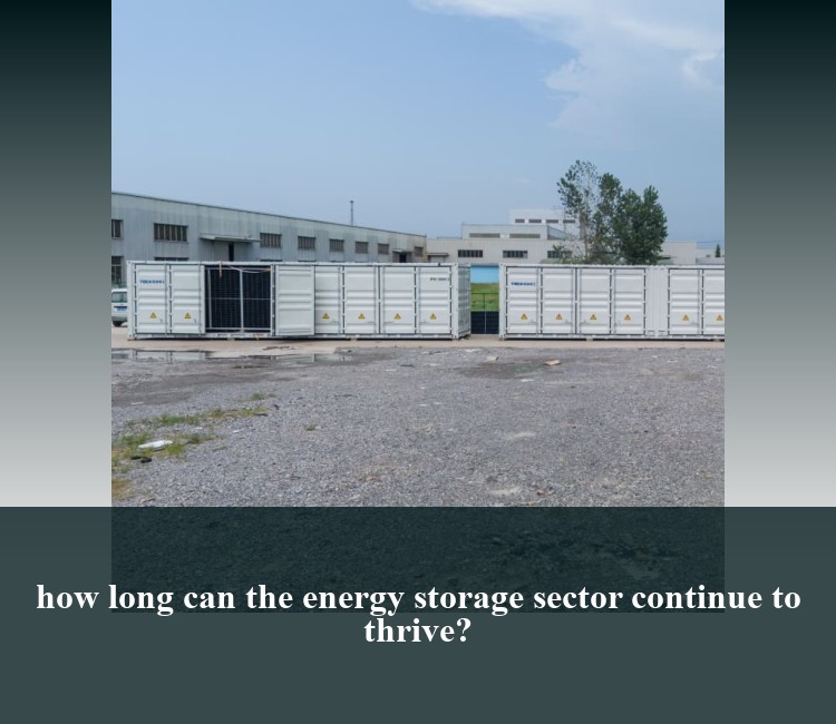 how long can the energy storage sector continue to thrive?