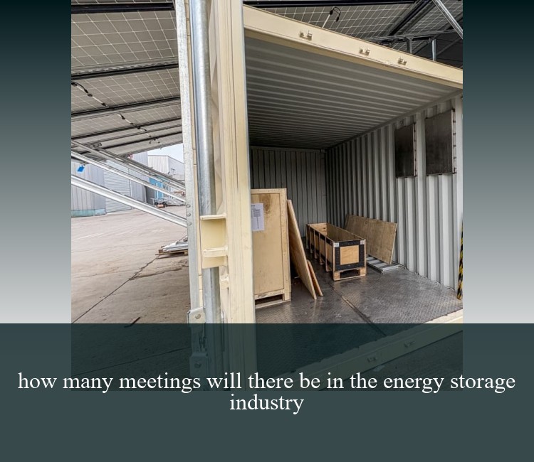 how many meetings will there be in the energy storage industry