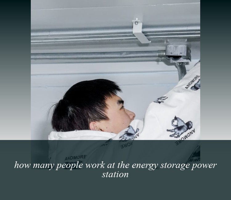 how many people work at the energy storage power station