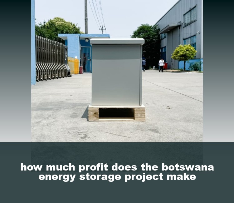 how much profit does the botswana energy storage project make