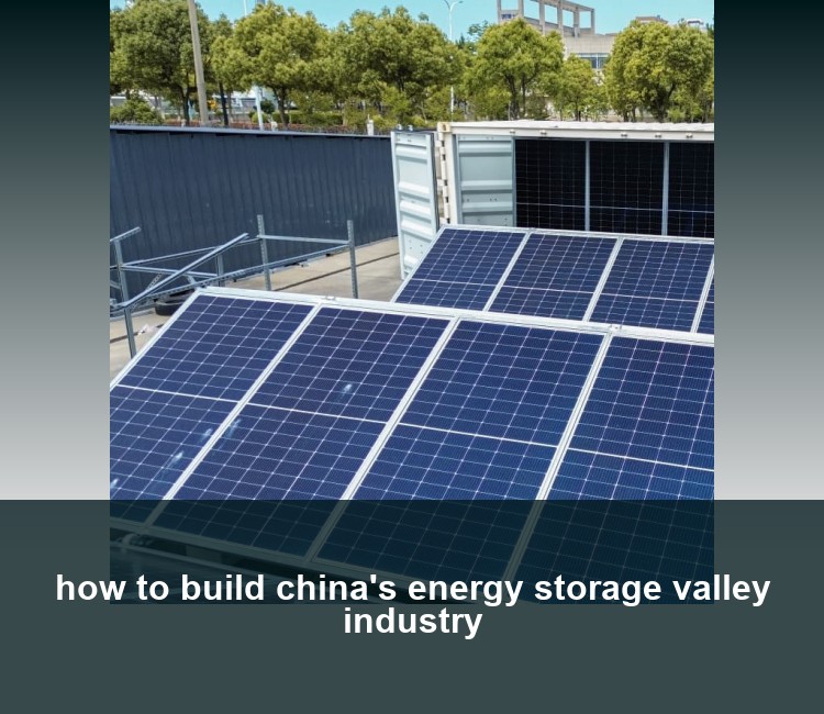how to build china's energy storage valley industry
