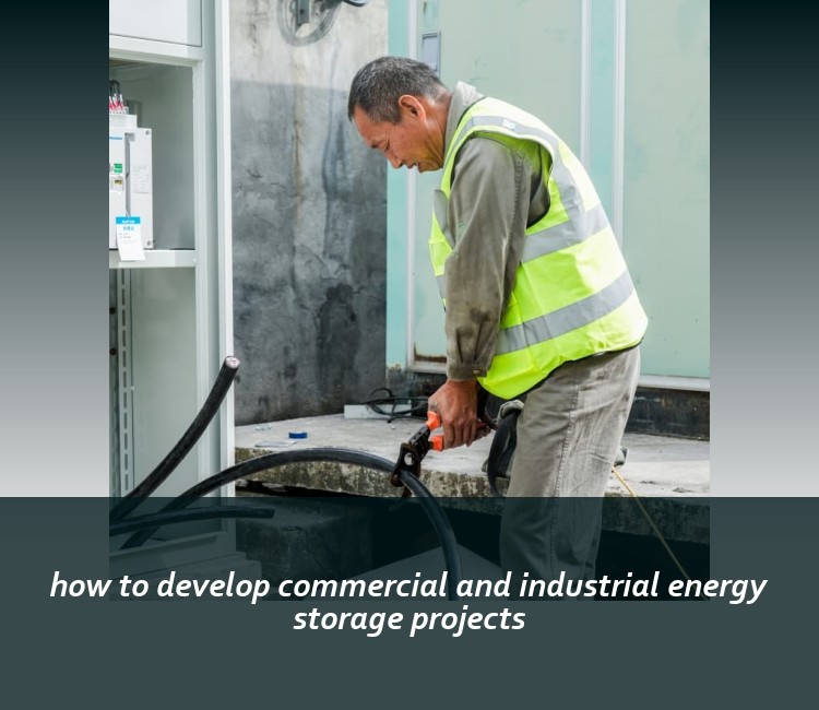 how to develop commercial and industrial energy storage projects