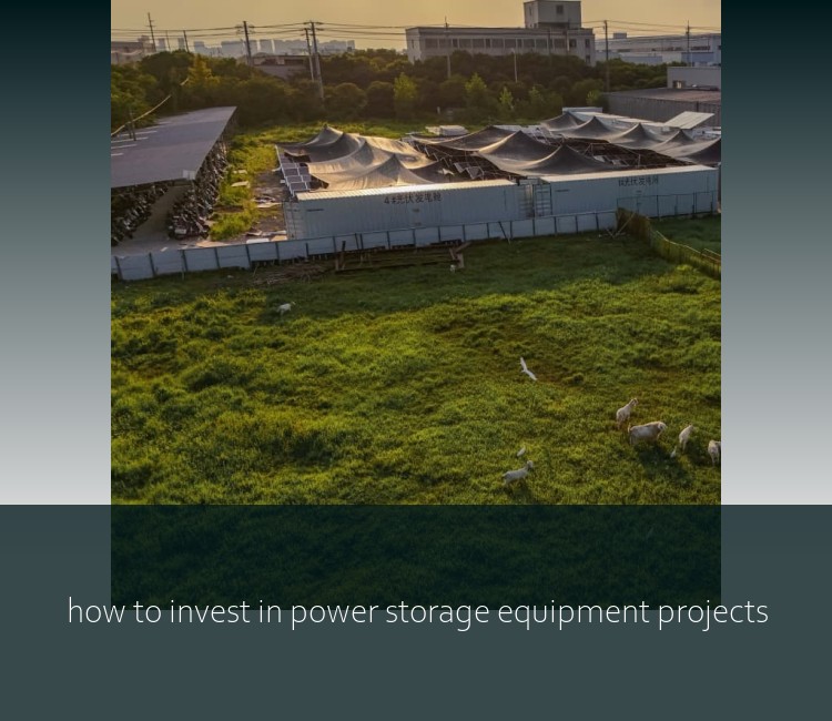 how to invest in power storage equipment projects