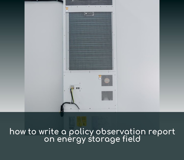 how to write a policy observation report on energy storage field