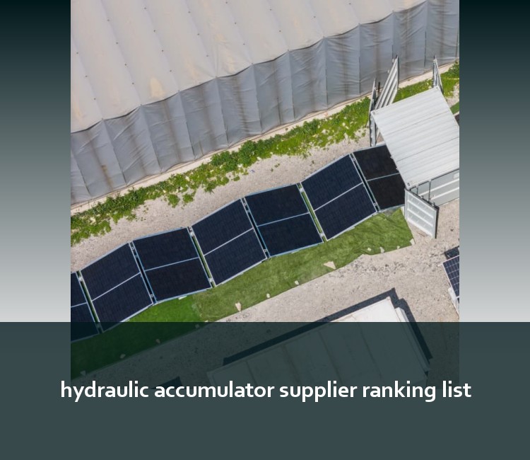 hydraulic accumulator supplier ranking list