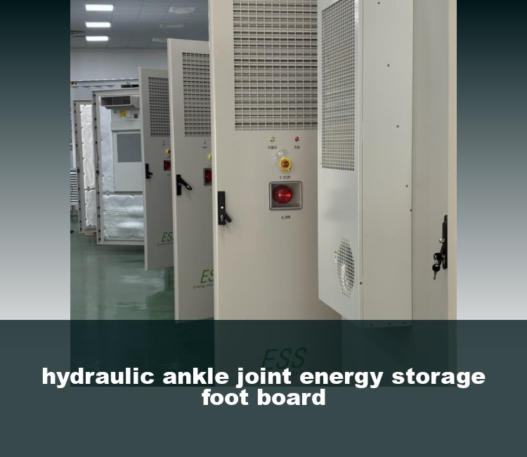 hydraulic ankle joint energy storage foot board