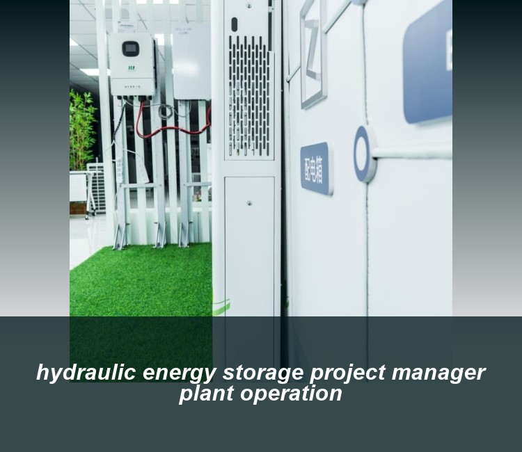 hydraulic energy storage project manager plant operation
