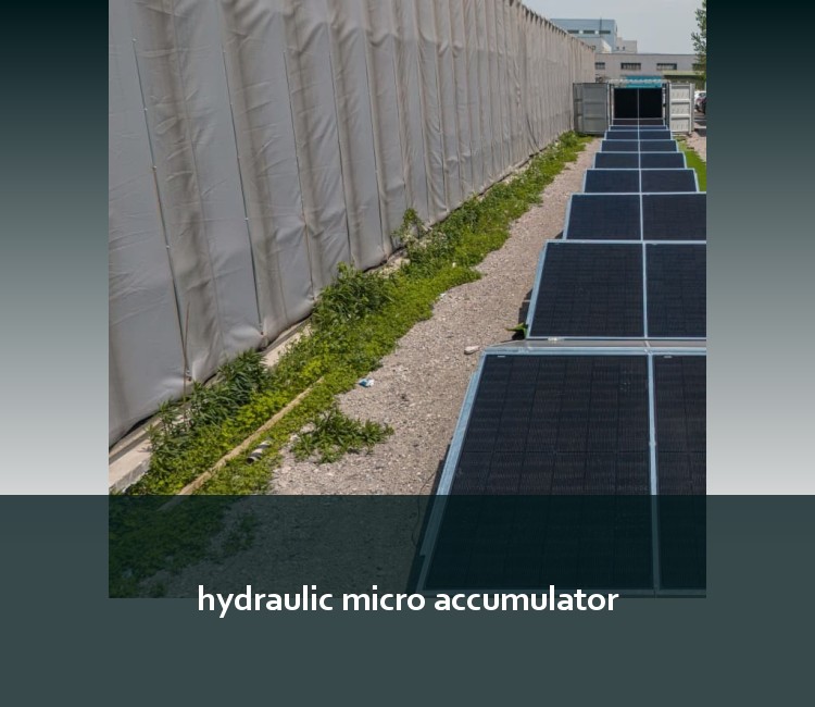 hydraulic micro accumulator