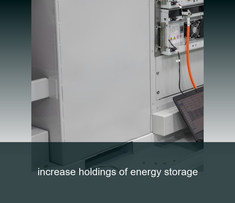 increase holdings of energy storage
