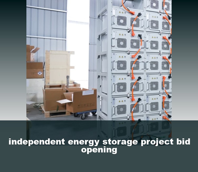 independent energy storage project bid opening
