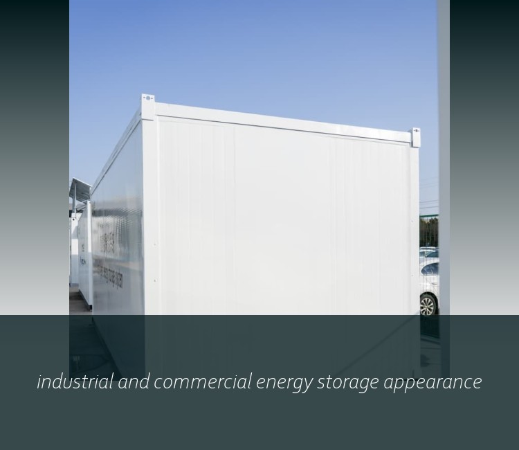 industrial and commercial energy storage appearance