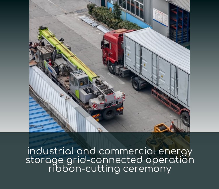 industrial and commercial energy storage grid-connected operation ribbon-cutting ceremony