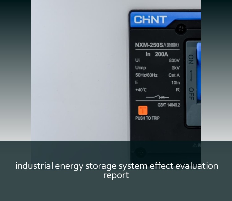 industrial energy storage system effect evaluation report