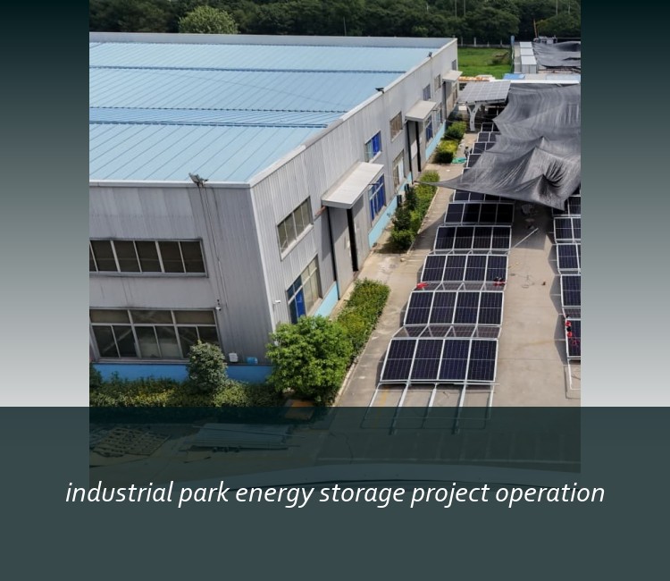 industrial park energy storage project operation