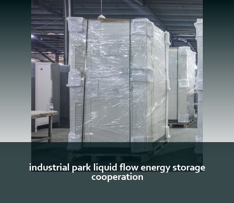 industrial park liquid flow energy storage cooperation