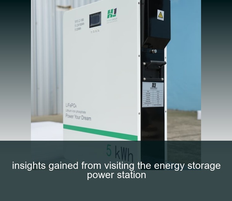 insights gained from visiting the energy storage power station