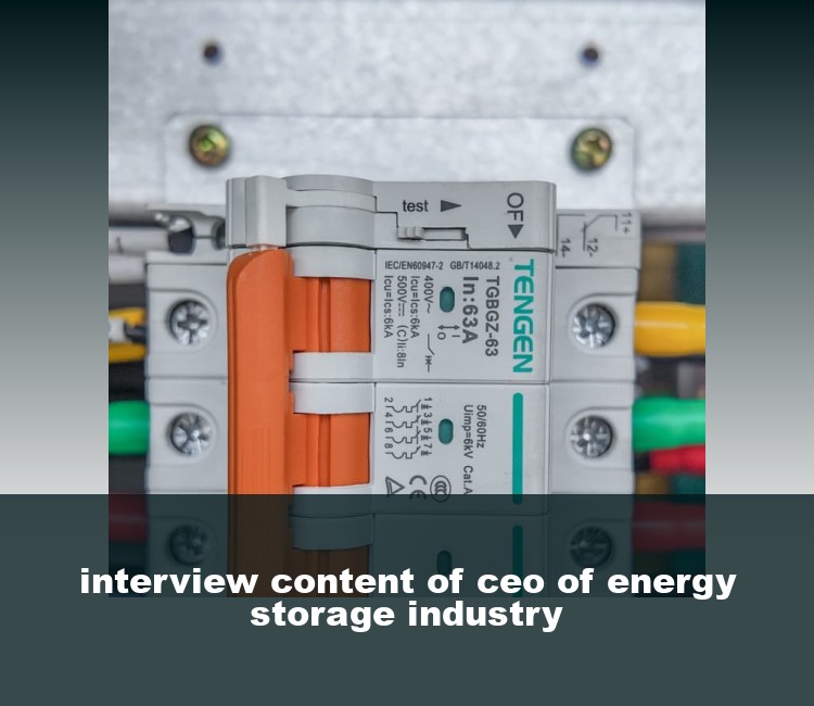 interview content of ceo of energy storage industry