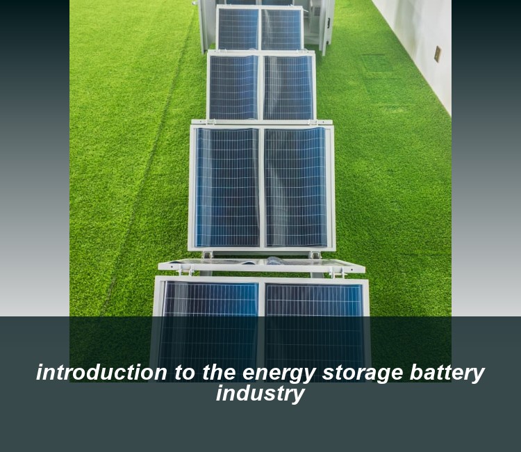 introduction to the energy storage battery industry