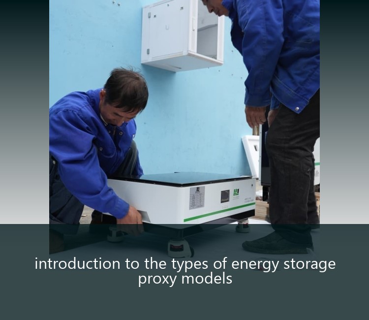 introduction to the types of energy storage proxy models