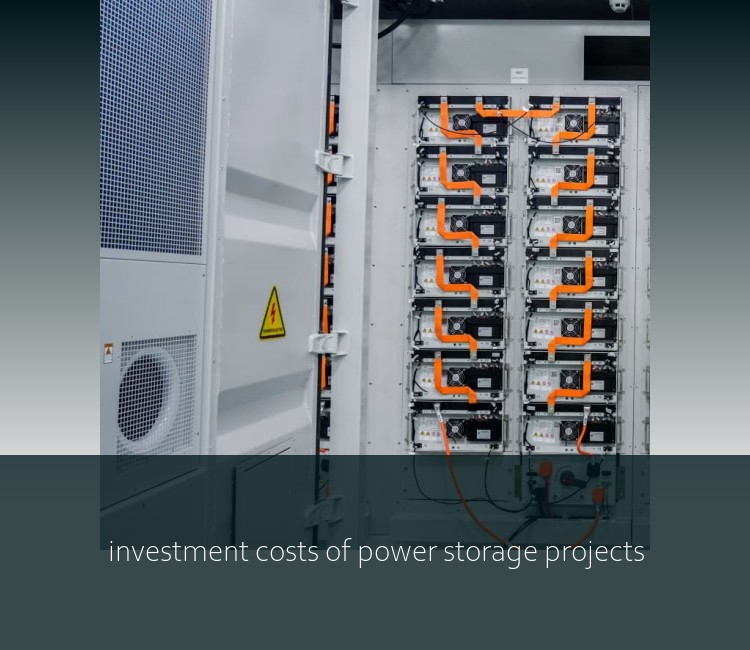 investment costs of power storage projects