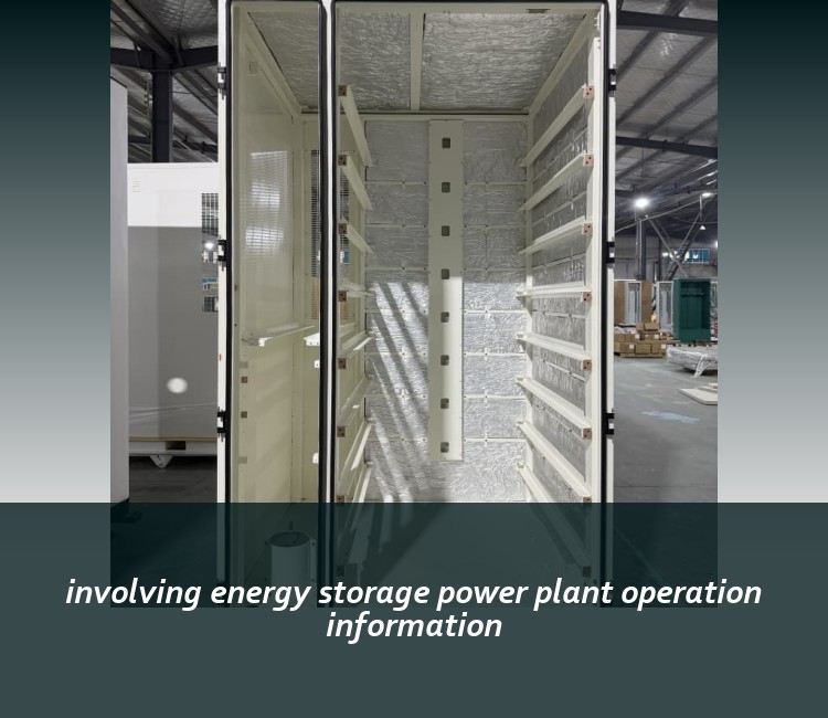 involving energy storage power plant operation information