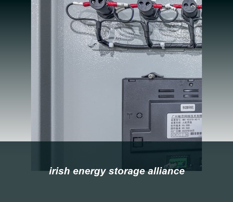 irish energy storage alliance