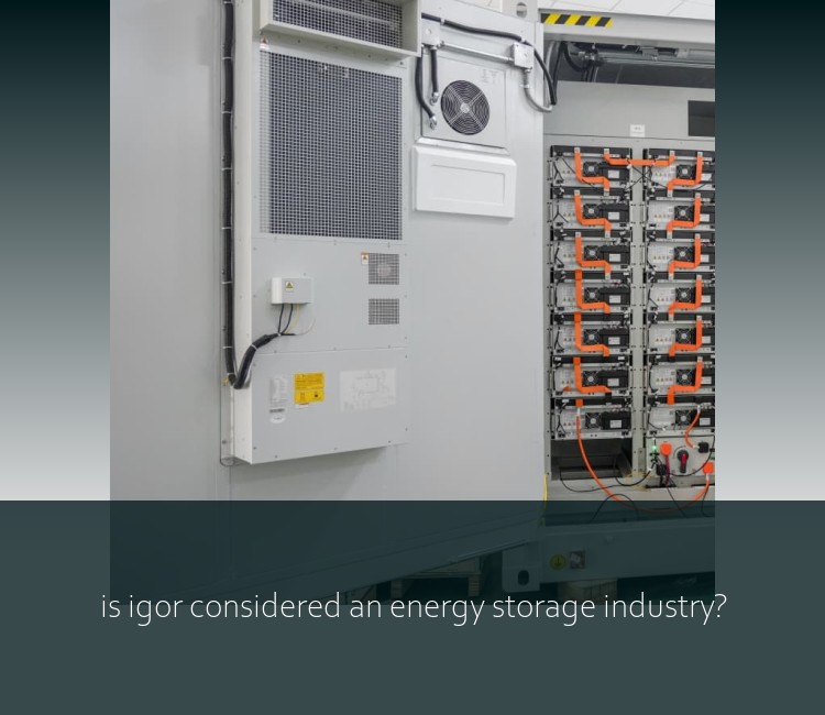 is igor considered an energy storage industry?