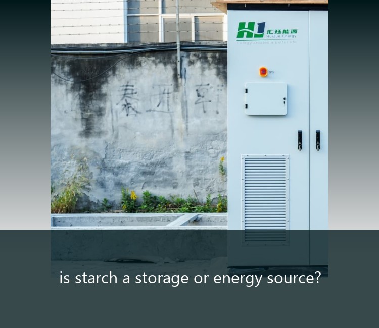 is starch a storage or energy source?