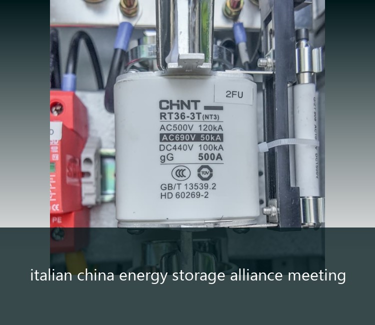 italian china energy storage alliance meeting